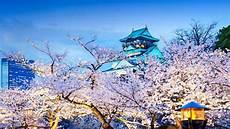 樱岛麻衣图片头像