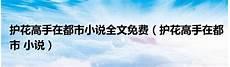 护花高手在都市漫画全集免费阅读