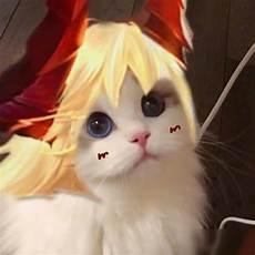 王者荣耀猫咪头像韩信